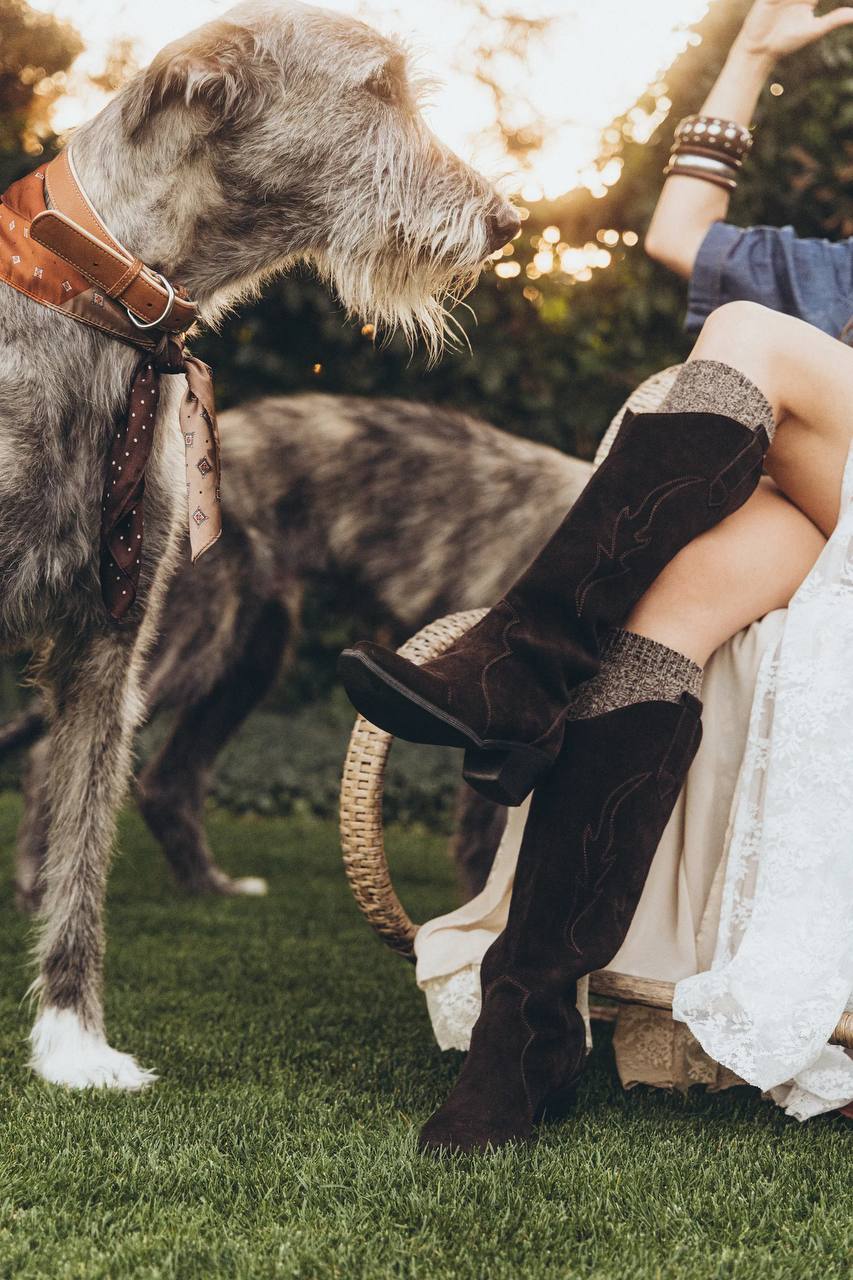 Чоботи Julia замша