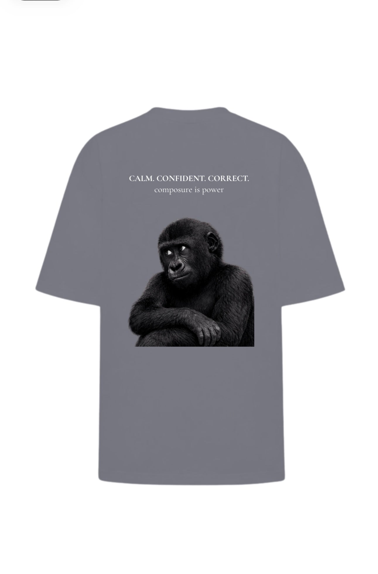 Футболка Gorilla Composed Energy