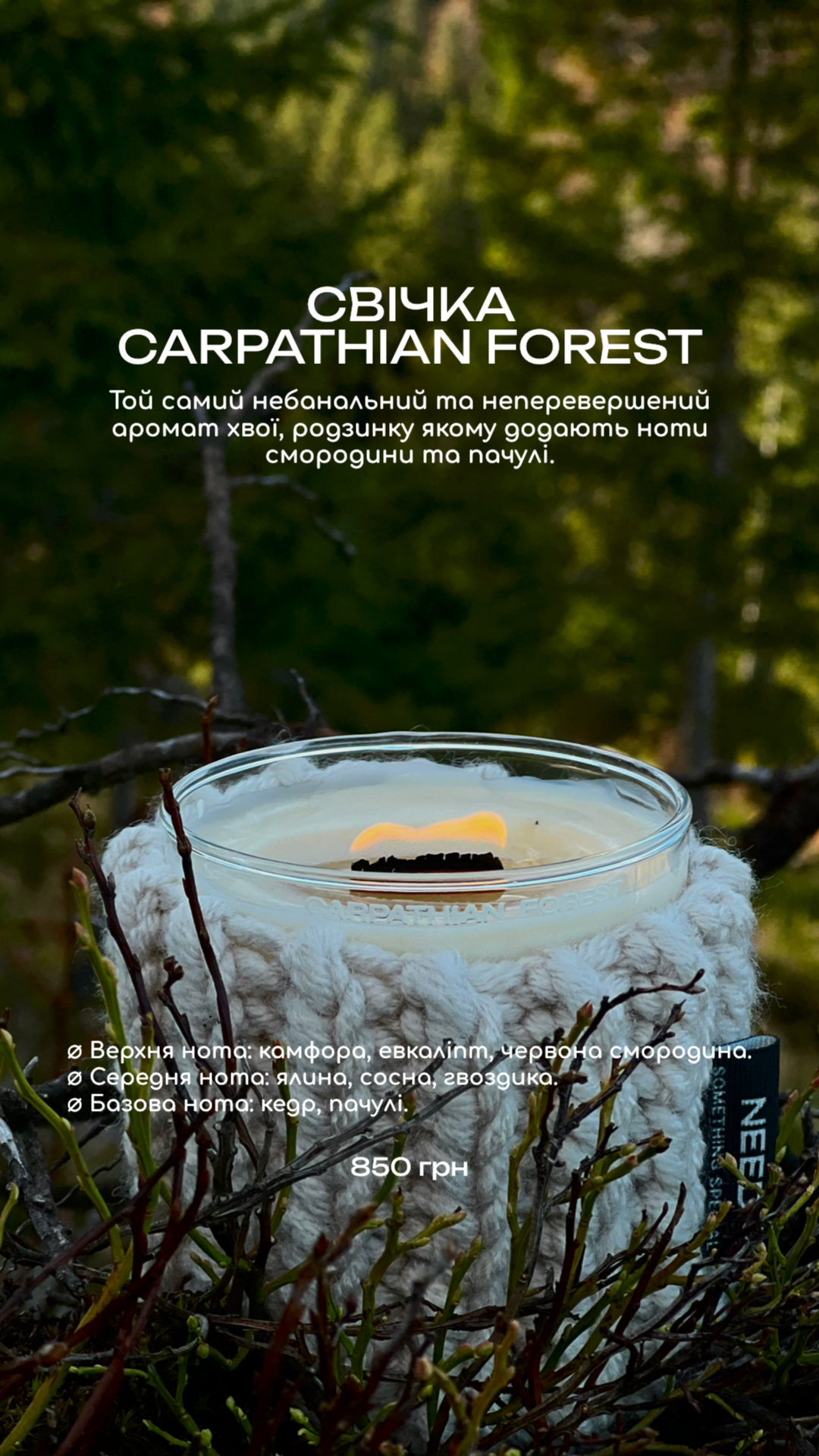 Свічка "Carpathian Forest"
